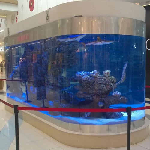 аквариум на заказ алматы